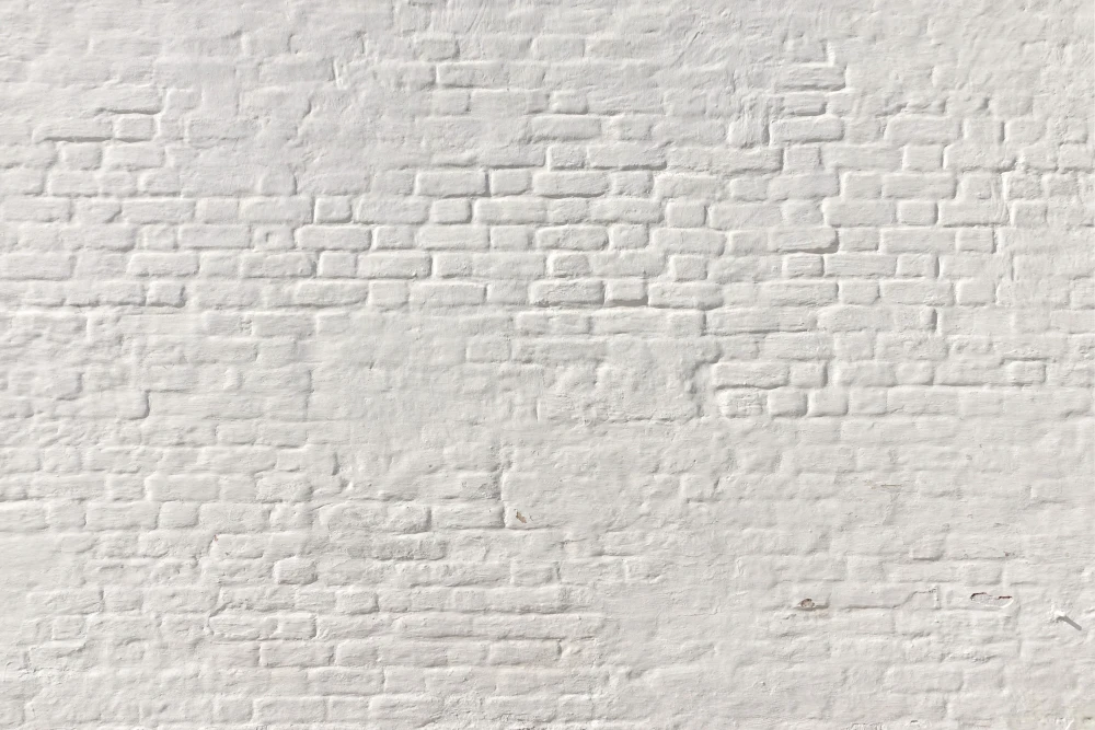 

Newborn Photography Backgrounds White Brick Wall Custom Portrait Photo Backdrop Vinyl Photo Studio props 300x180cm