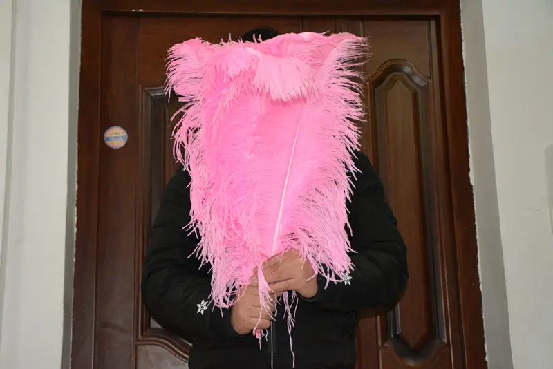 

Wholesale high quality white ostrich feathers 10-100pcs 26-28 inches / 65-70cm wedding show assembly center focus