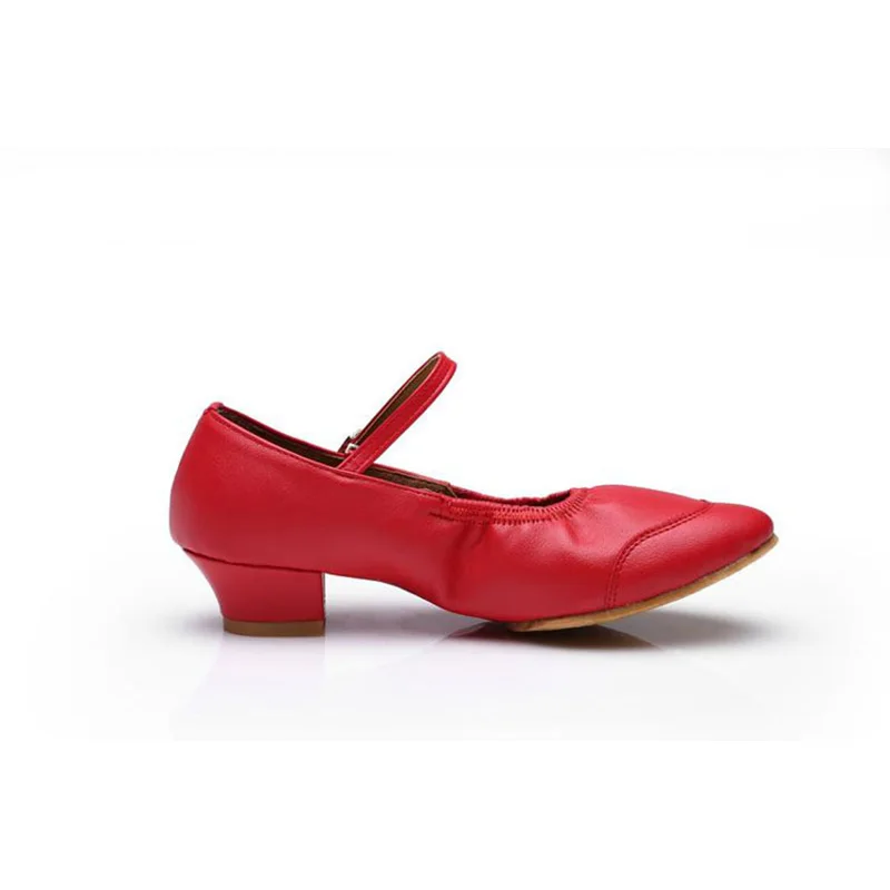 XEK 2018 Fashion Brand Women Girls Ballroom Latin Tango Dance Shoes Low Heeled Modern Dancing Size 34-41 JH177 | Спорт и развлечения