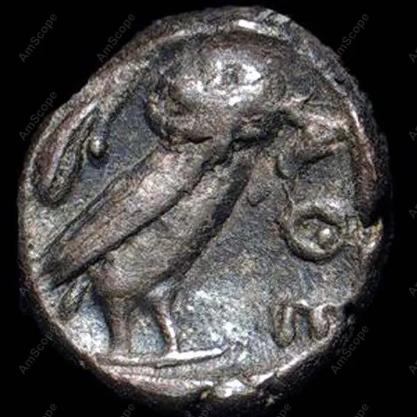 Острый стерео микроскоп AmScope поставляет острый 10X 15X 30X 45X|stereo microscope used|microscope