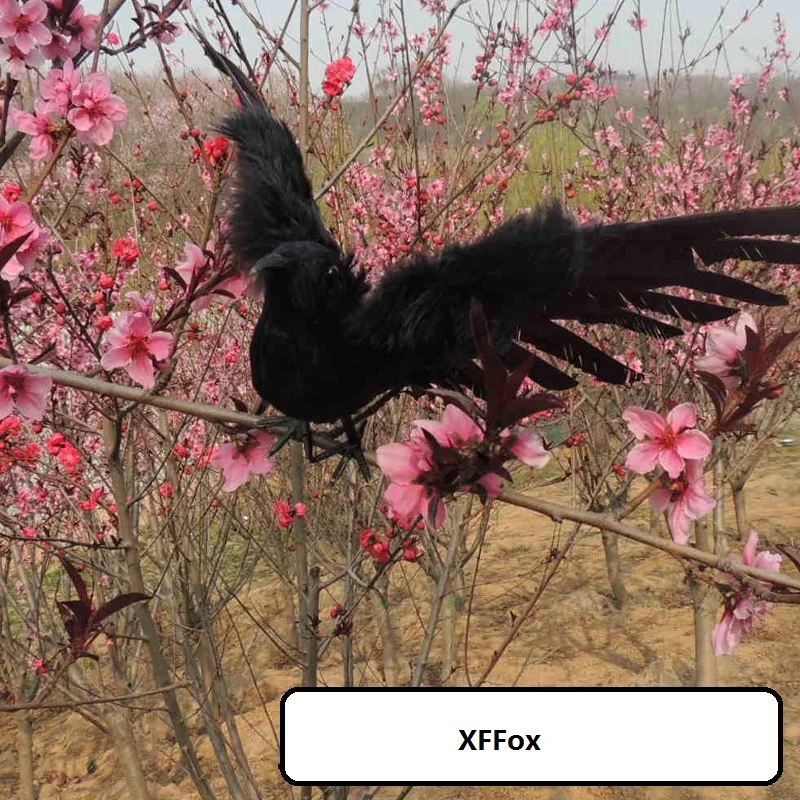 

new simulation wings crow model foam&feather real life black crow bird doll gift about 30x50cm xf1064