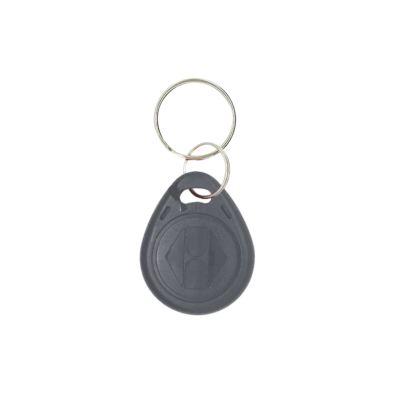 10 шт. EM4305 T5577 копия тегов перезаписываемая брелока RFID кольцо для ключей карта