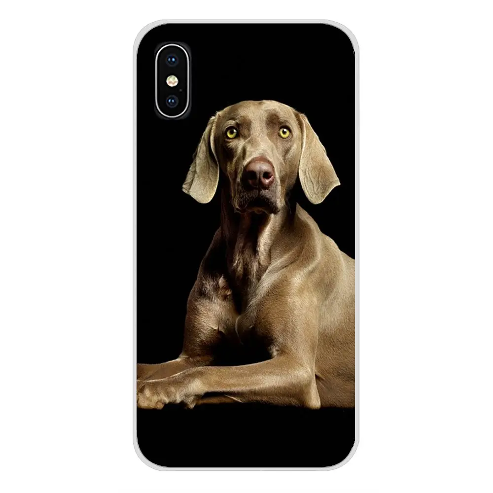 Weimaraner собака искусство для Samsung Galaxy J1 J2 J3 J4 J5 J6 J7 J8 плюс 2018 Prime 2015 2016 2017 аксессуары
