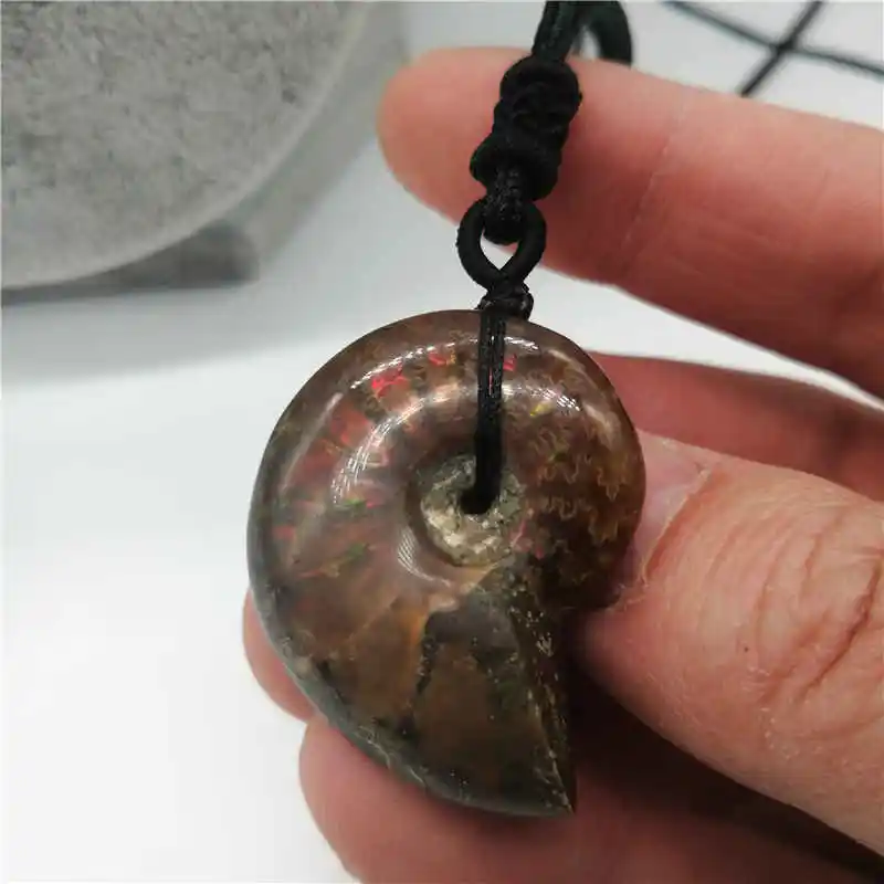 Wholesale 1PC Natural conch pendant snail leaf fossil ammonite hanging piece lucky crystal stone screw transporter | Украшения и
