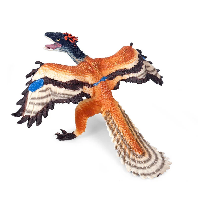 1pcs 11*13*6.5cm simulation Archaeopteryx vivied lifelike diverse Ancient dragon dinosaur model children gift Plastic toys | Игрушки и