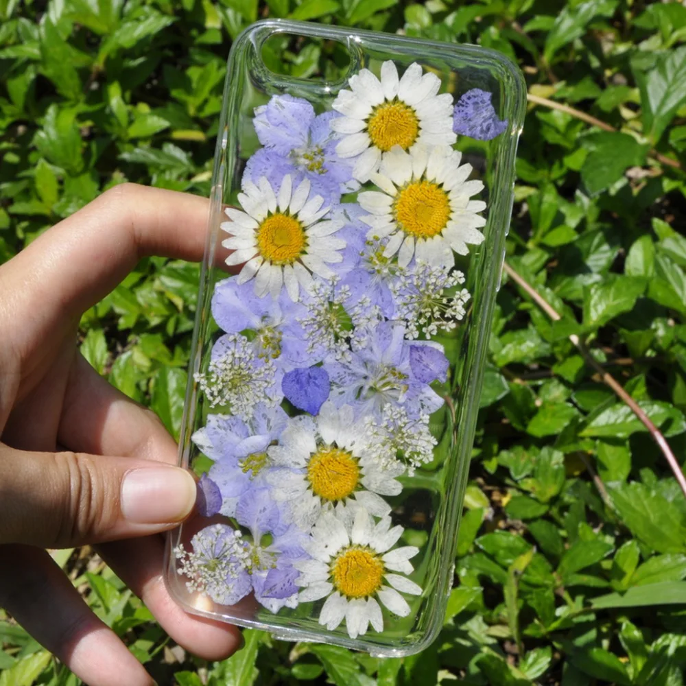 Clear Flower Cases For iPhone X Fashion Real Dried Lovley Floral Back Cover 8 Plus 6 7 Fundas |