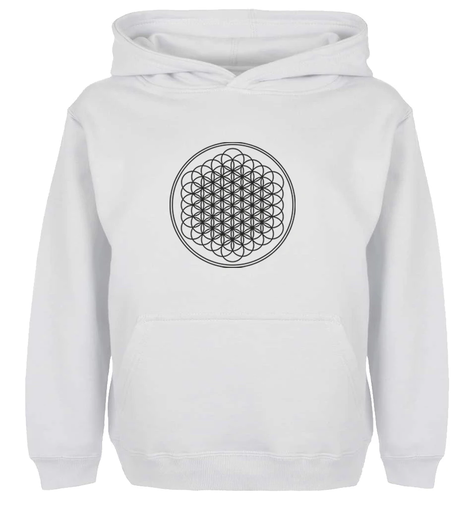 Модная толстовка унисекс с капюшоном с дизайном «BRING ME THE HORIZON» для мужчин и мальчиков, женские зимние куртки для девочек, Толстовка для дня рождения - Цвет: WM740W