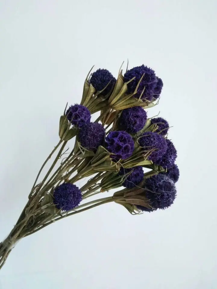 2018 подарок для девушки и женщины украсить букет съемки реквизит | Дом сад