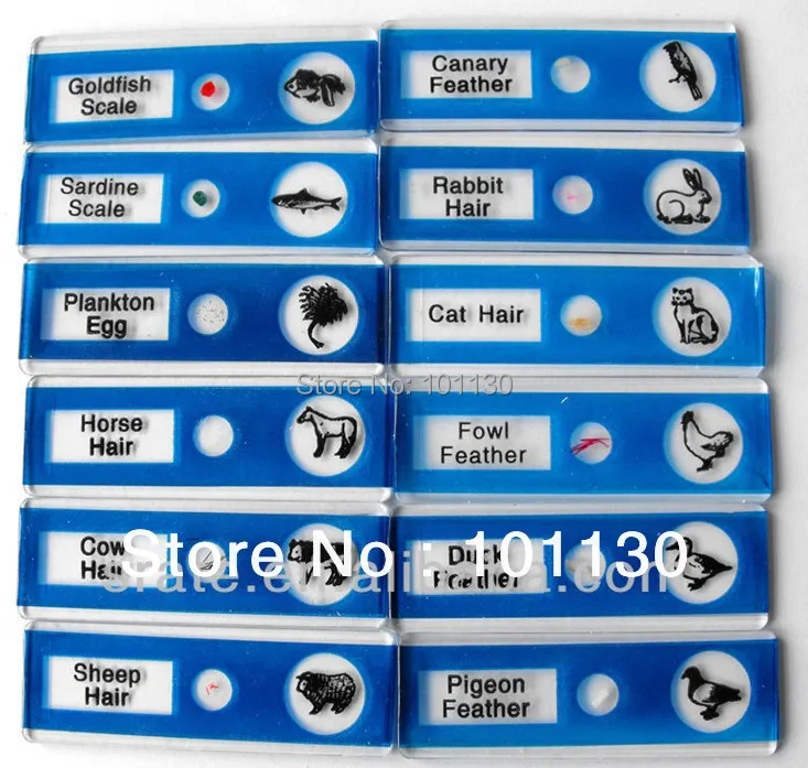 12 шт животные пластиковые слайды подготовленные для микроскопа Биологический