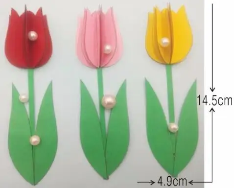 

Tulip Cutting dies NEW die cut & wooden dies Suitable for common die cutting machines on the market