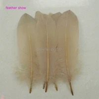 plume 200pcslot 6 8inches 15 20cm goose featherslight coffe goose satinettes loose feathers goose satinettes feathers