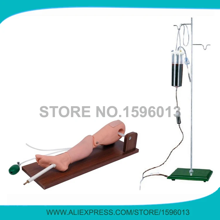 Продвинутый Симулятор прокола костного мозга и бедренной венгии ортопедический