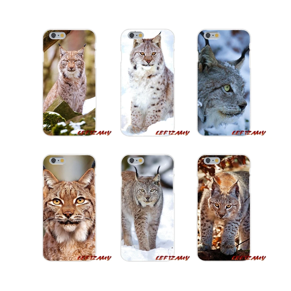 Аксессуары чехлы для телефонов iPhone X XR XS MAX 4 4S 5 5S 5C SE 6 6S 7 8 Plus Lynx Caracals Kitten | Мобильные