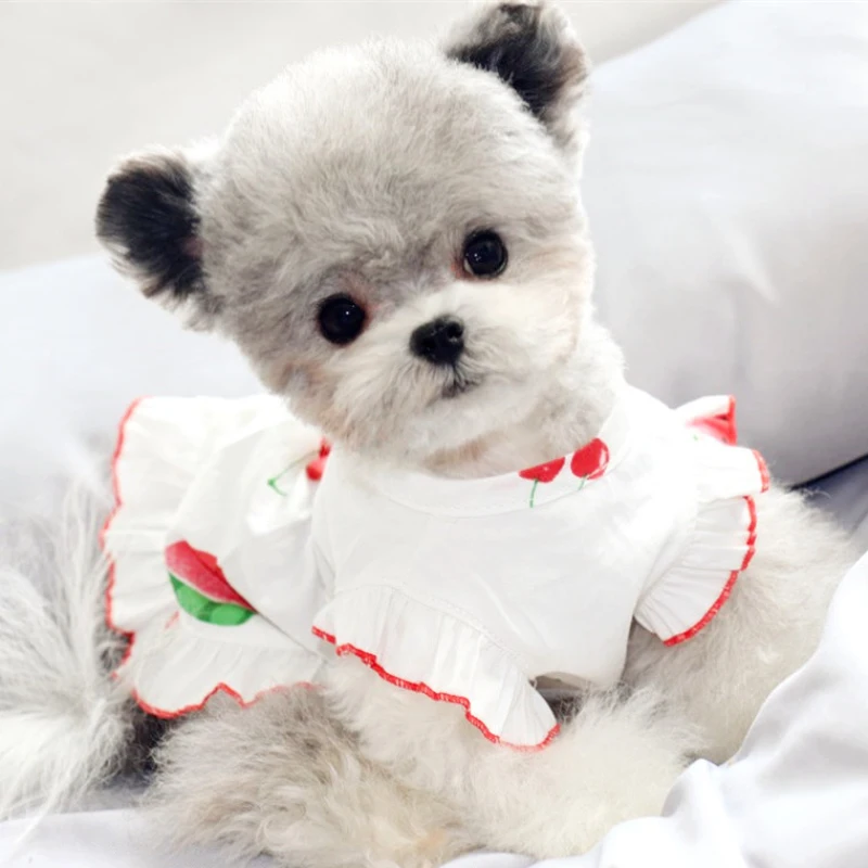 Летняя одежда для домашних животных платье кошек собак щенков костюм маленькой