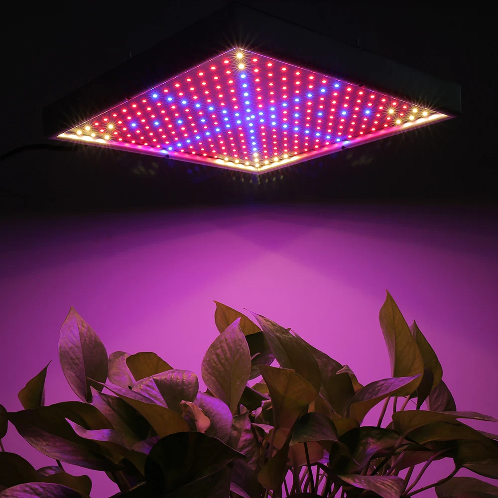 

2pcs/pack Full Spectrum 30W LED Grow Lights Plant Lamp Growing Fitolamp for Indoor Flowering Vegs Growth Greenhouse Grow Tent