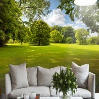 photo wallpaper 3d stereo green tree lawn sunshine nature landscape mural living room bedroom backdrop wall 3d mural wall papers