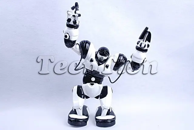 Бесплатная доставка TT313 пульт дистанционного управления RC робот игрушка Roboactor