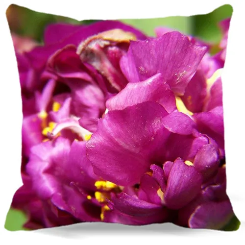 Наволочка с рисунком свежих лепестков новинка 2017 весенний хлопковый полиэфир