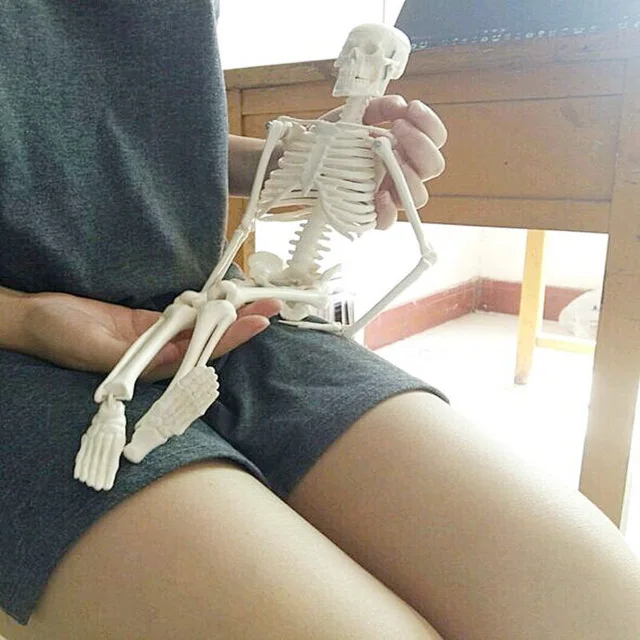 

12368 / Mini 45CM Physique Anatomical Skeleton Human Model Stand Medical Learn Aid Anatomy