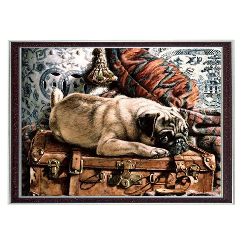 Набор для вышивки сделай сам крестиком 14CT без принта Французский DMC картина