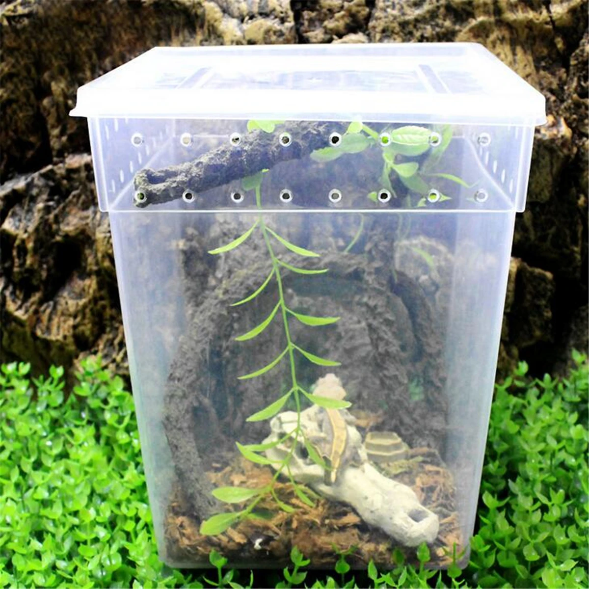 Прозрачный резервуар для кормления рептилий емкость террариумов насекомых