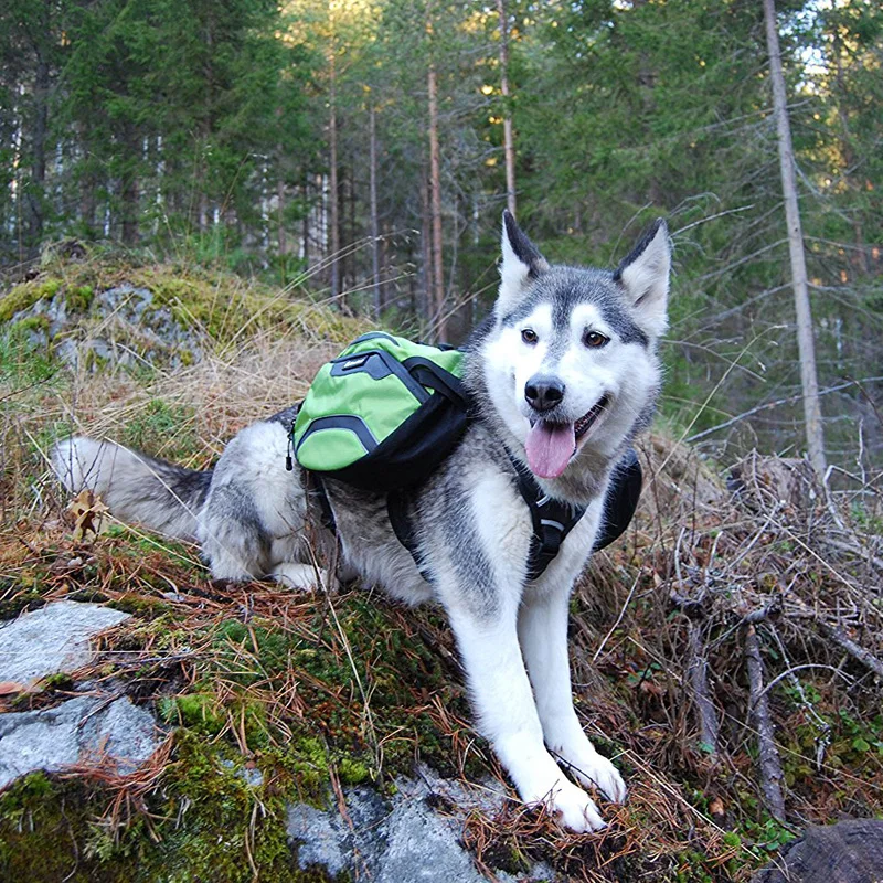 Truelove Pet рюкзак для переноски жгута и сумки вместительный Водонепроницаемый