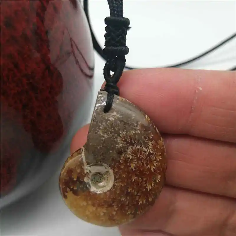Wholesale 1PC Natural conch pendant snail leaf fossil ammonite hanging piece lucky crystal stone screw transporter | Украшения и