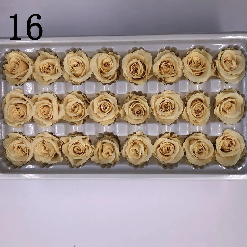 16 1 коробка 24 головы цветы Высокое качество консервированные цветы цветок бесморская роза 2-3 см диаметр вечная жизнь цветок Материал Подарочная коробка - Цвет: 16