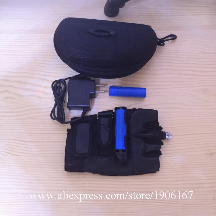 Hot Sale Starry Beam Christmas Green Laser Gloves Laserman DJ For Stage Show Halloween Party Free Shipping | Дом и сад