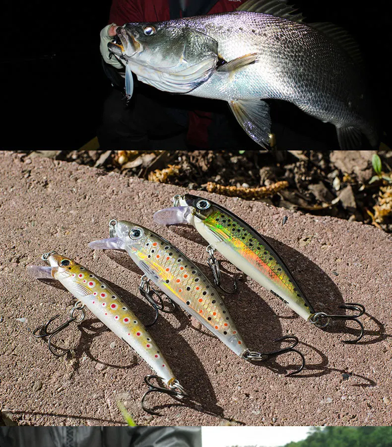 Rapala X-RAP обратного отсчета XRCD07 7 см/10 г погружение 0,9-1,5 м приманка для рыбалки искусственная приманка жесткая блесна для литья и троллинга 3D BADY