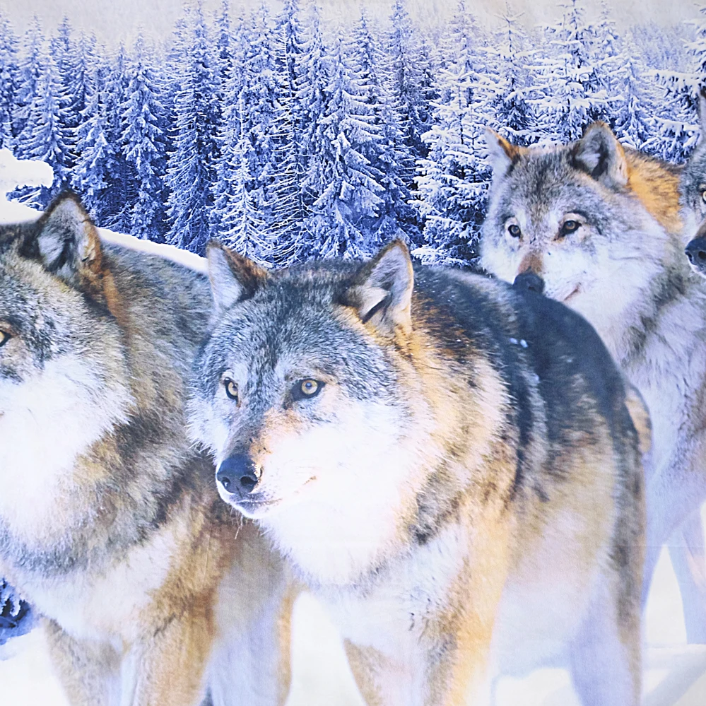 

Fanaijia 3d wolf Bedding Set queen size India Duvet Cover set with pillowcase king kids Bedline best gift