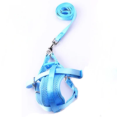 blue Поводок для маленьких собак, пояс на грудь, мягкая дышащая сетка, нейлоновый поводок, ошейник, набор для чихуахуа, домашний Йоркширский питомец, продукт - Цвет: blue