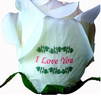 Хорошее качество и легко сделать наклейку наклейка размером A4 (40 шт./лот) лазерная