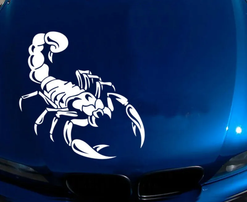 1 шт. наклейки на крышку автомобильного корпуса|hood sticker|stickers racingsticker auto decoration |
