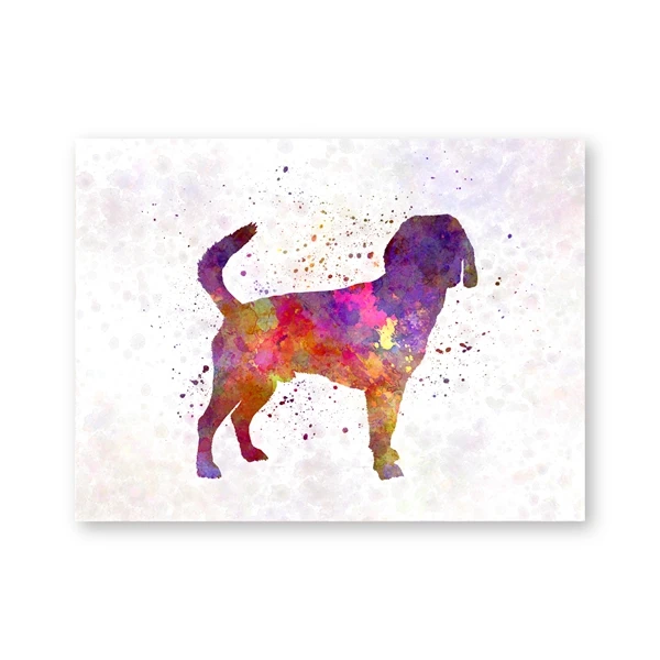 

Watercolor Anatolian Shepherd Dog Posters Wall Art Canvas Painting Abstract Beagle Harrier Print Canaan Dog Picture Home Decor