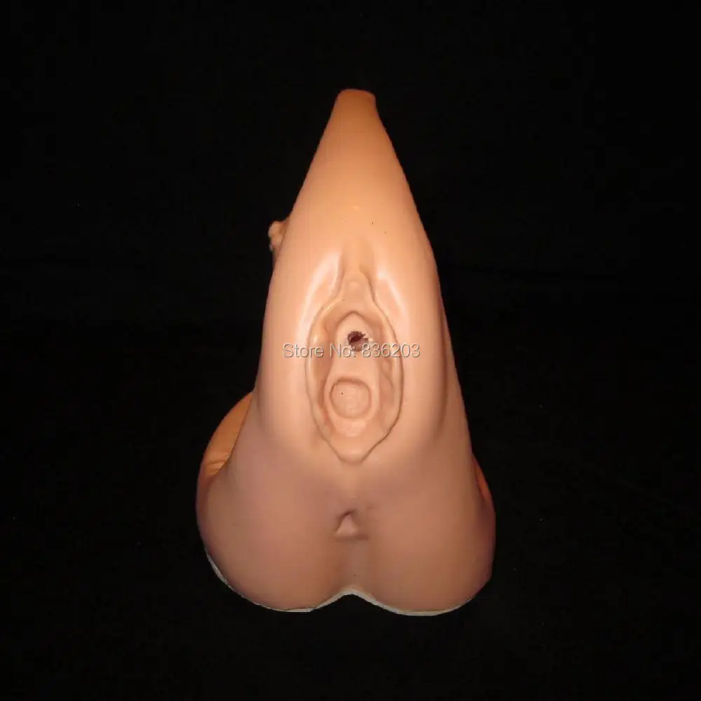 Медицинский Скелетон позвоночника женские инструменты для катетеризации