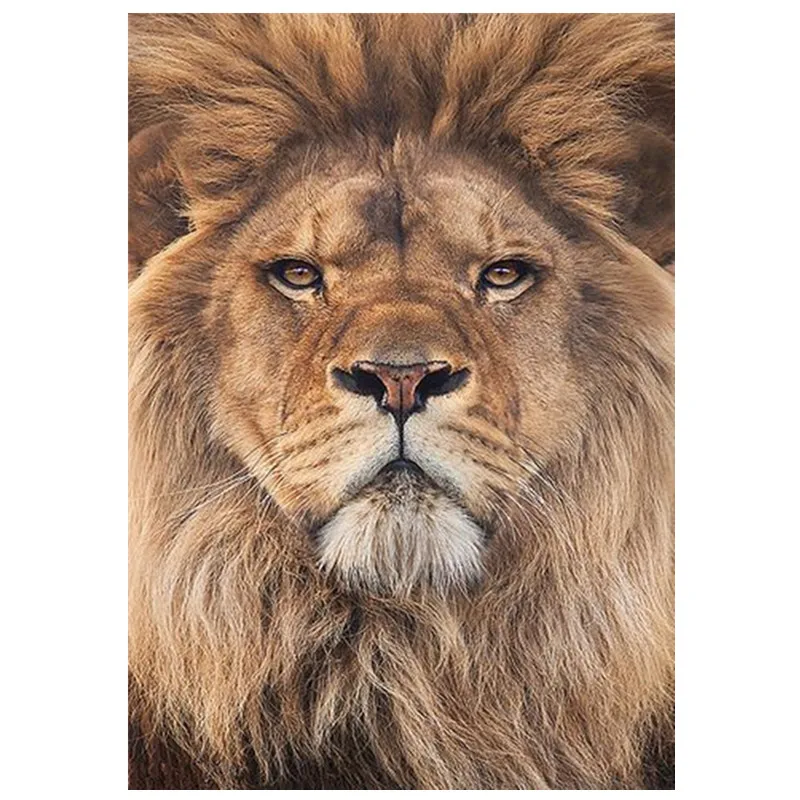 Алмазная живопись &quotсделай сам&quot комбинация животных Лев полная круглая