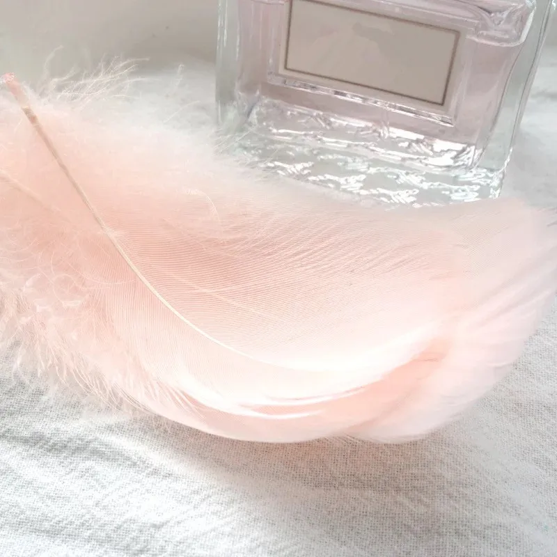 Blood pink 100 шт, натуральные гусиные перья 8-12 см, цветные перья лебедя, шлейф для домашнего украшения, рукоделие, украшение для ювелирных изделий - Цвет: Blood pink