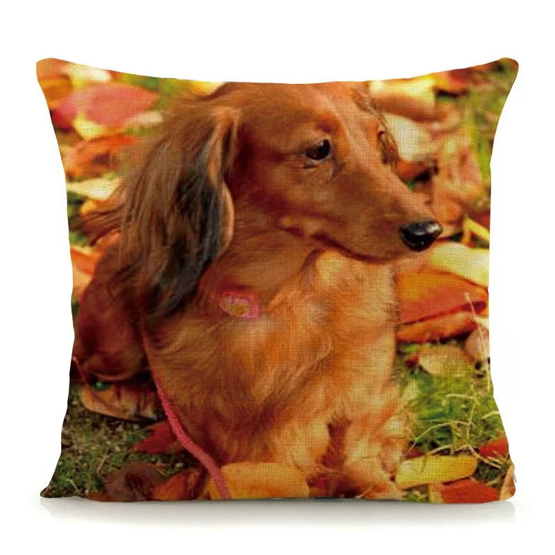 Новая подушка perro salchicha dachshund наволочка 1" домашние декоративные подушки для диванных хлопок лен наволочка 45x45 см G6
