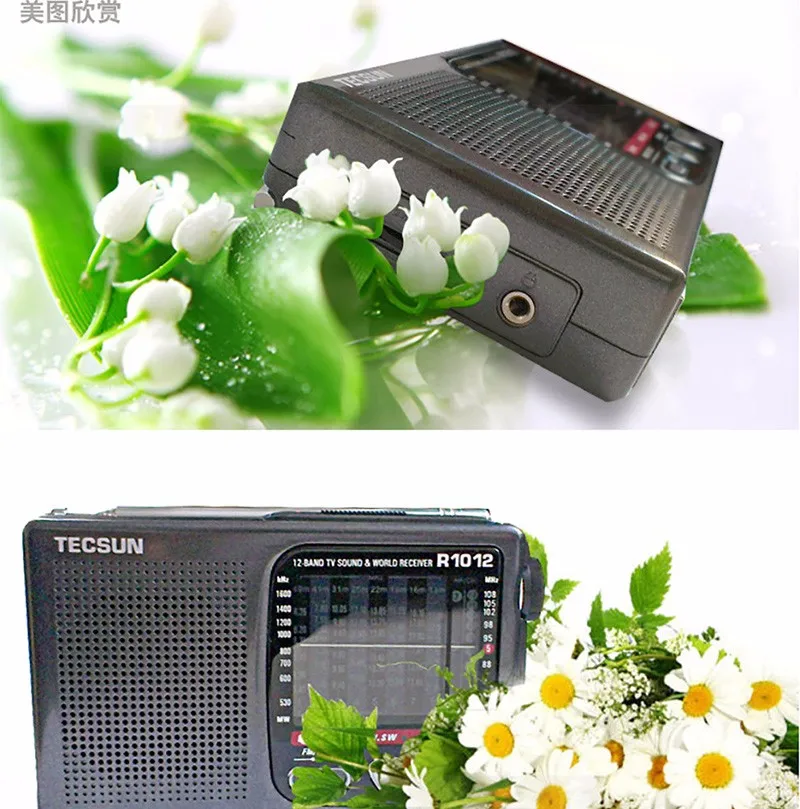 Горячая Высокое качество портативное радио TECSUN R-1012 FM/MW/SW/tv Радио многополосный мировой диапазон радиоприемник 76-108 МГц Y4378A