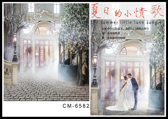 

Mist World Background Photography Bright Windows Green Tree Photo Backdrops Brick Street fotografia Wedding Studio Background