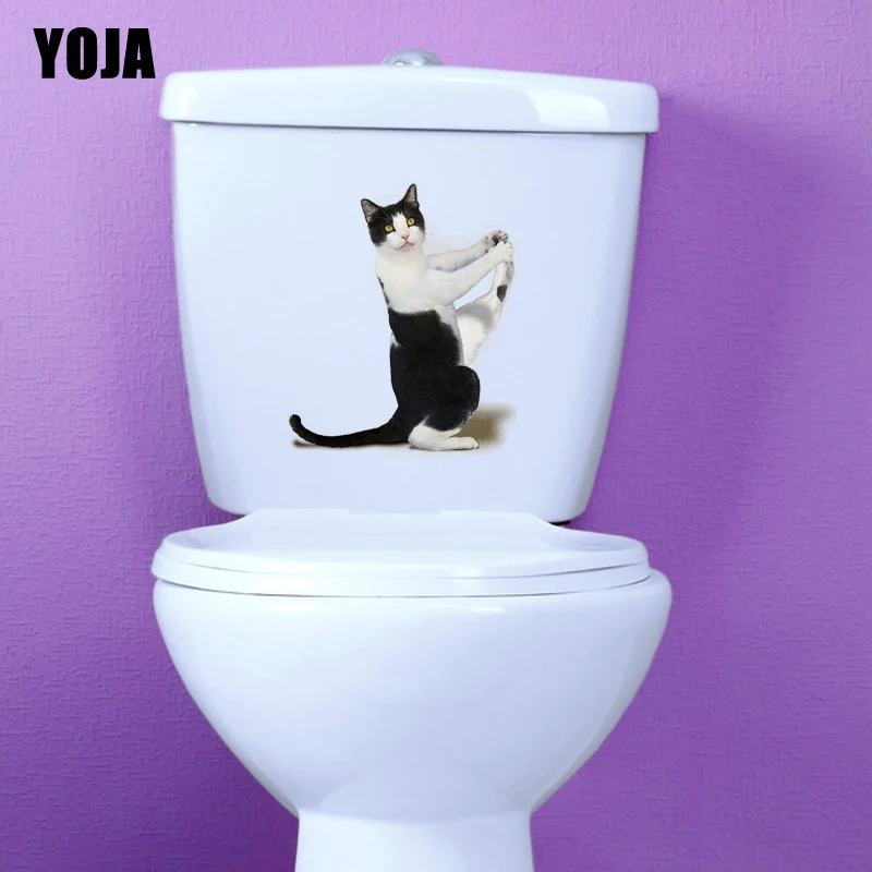 

YOJA 19,4*23 см, необычная кошка, фотообои для домашнего декора, смешная фотография, фотография