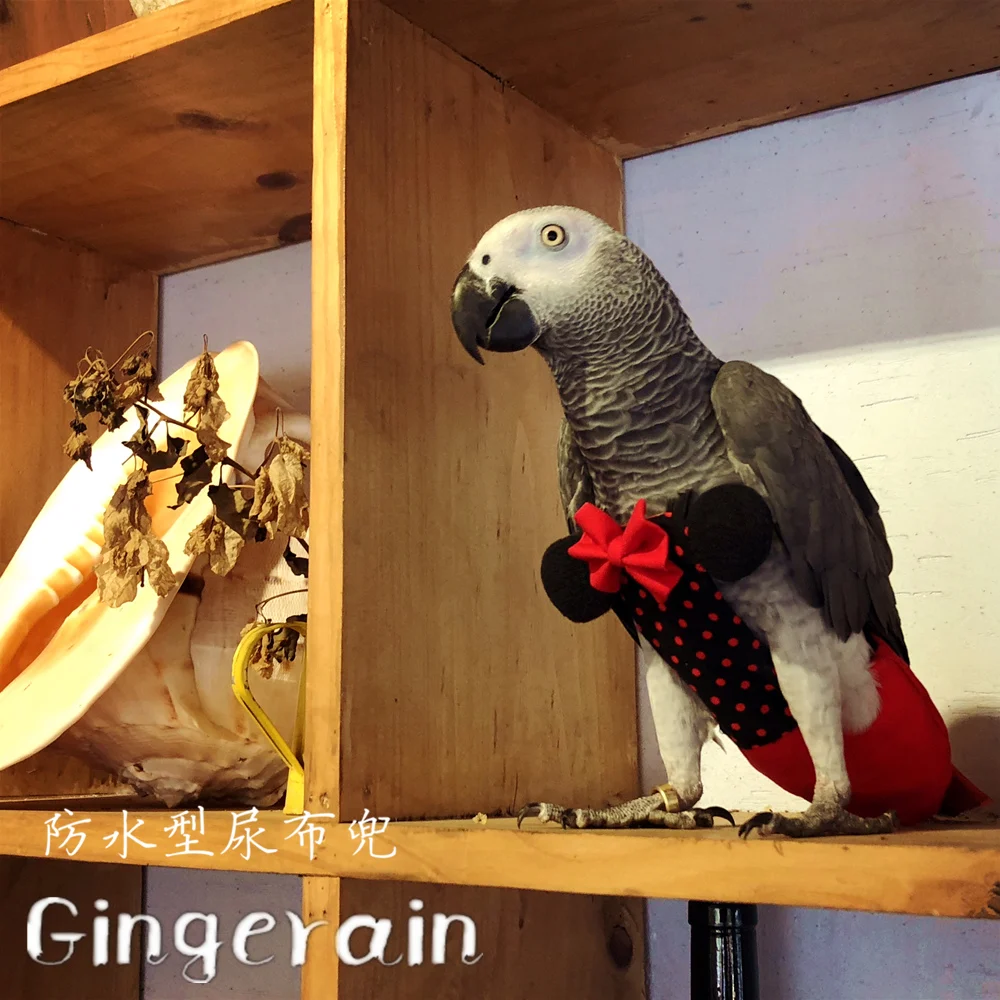 Gingerain одежда с птицами попугай пеленки маленькие точки оригинальный ручной