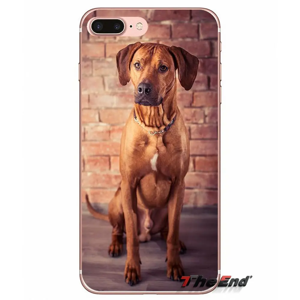 Силиконовые чехлы Rhodesian Ridgeback Dog Для Huawei G7 G8 P7 P8 P9 Lite Honor 4C 5X 5C 6X Mate 7 8 9 Y3 Y5 Y6 II 2 Pro 2017 |