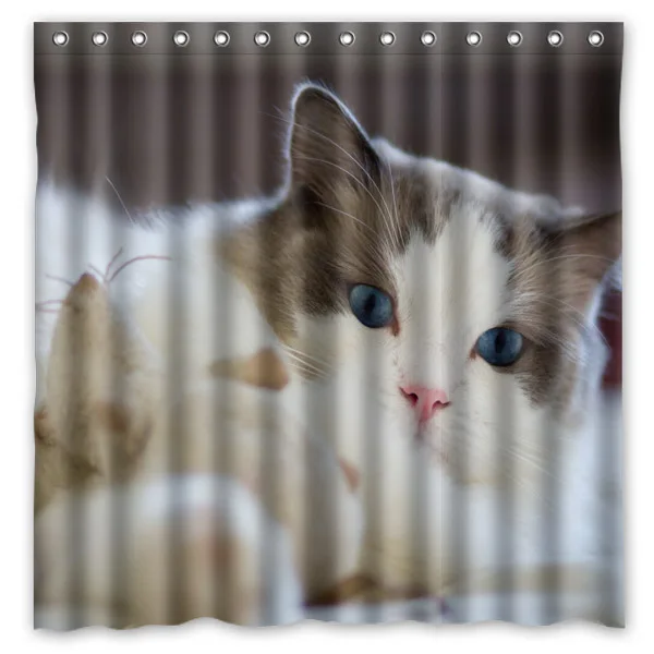 Пользовательские домашние занавески для ванной Ragdoll кошка водонепроницаемая