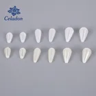 Бусины из АБС-пластика, с имитацией жемчуга, цвета слоновой кости, 50-100 шт.