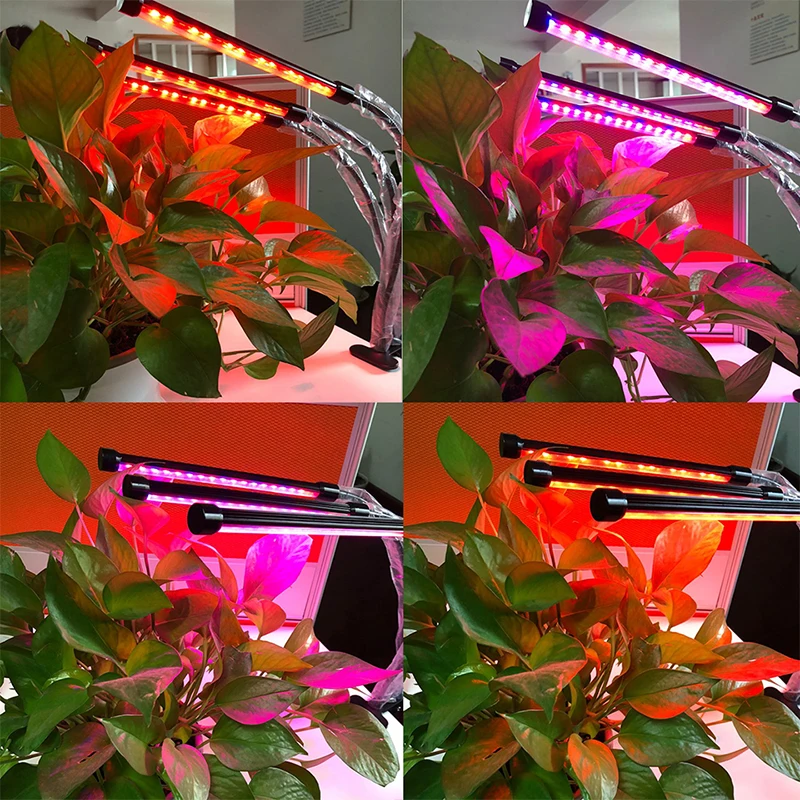 лампа для растений Светодио дный светать полный спектр гидропоники завод цветок