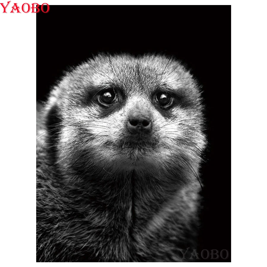 Черный и белый модный домашний декор DIY Алмазная картина Mongoose животное вышивка 3D