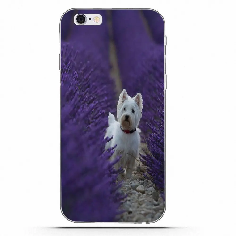 West Highland Terrier Westie Dog Puppy Мягкая коробка для звонков Galaxy Alpha Core Prime Note 4 5 8 S3 S4 S5 S6 S7 S8 S9 mini