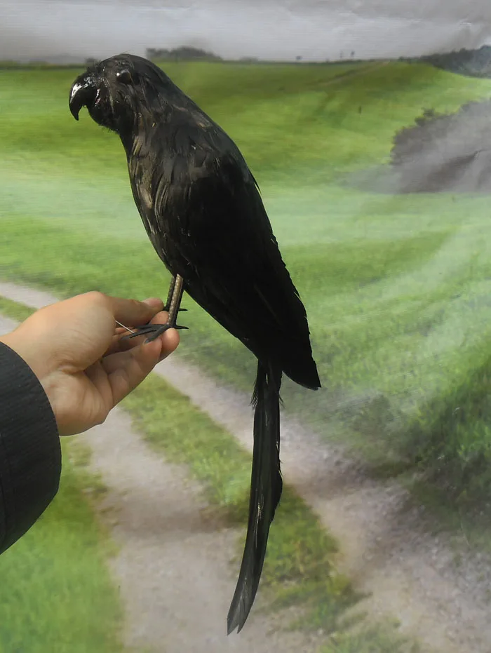 Искусственные перья птица черный Попугай Игрушка 40 см модель украшения дома